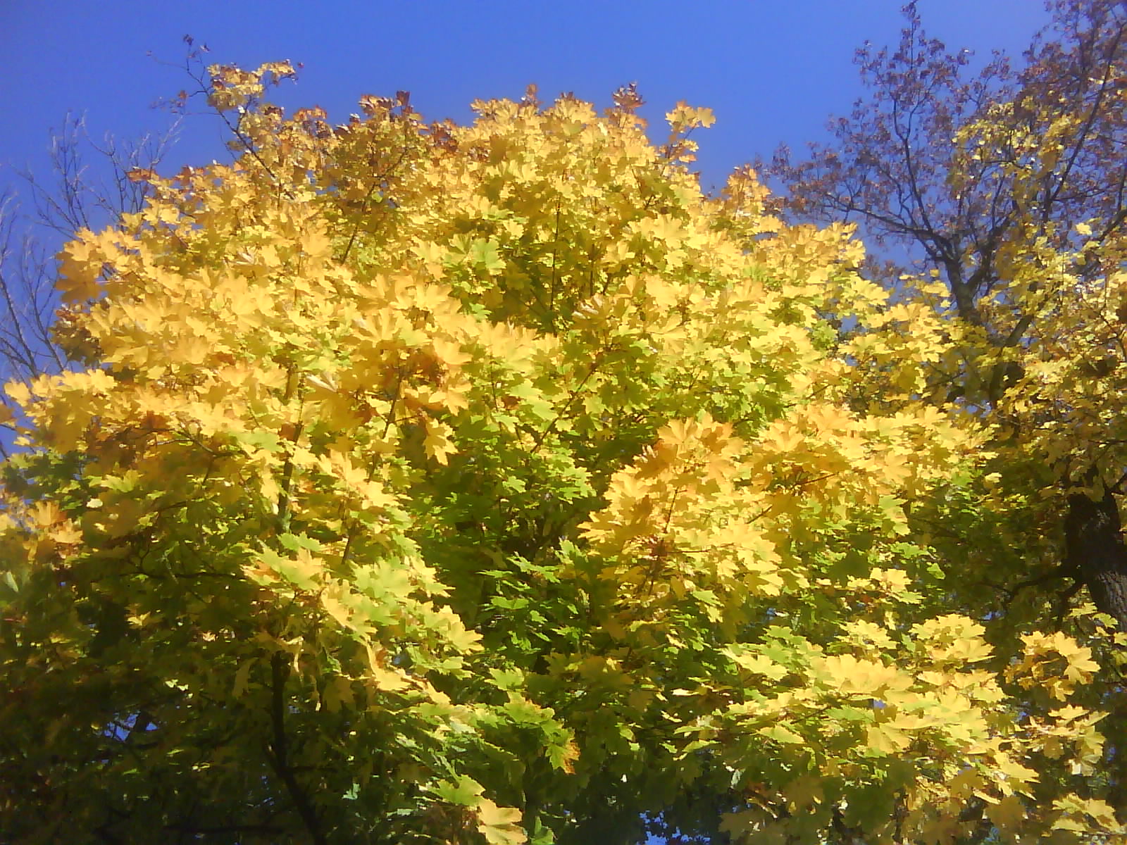 DSC00061.JPG