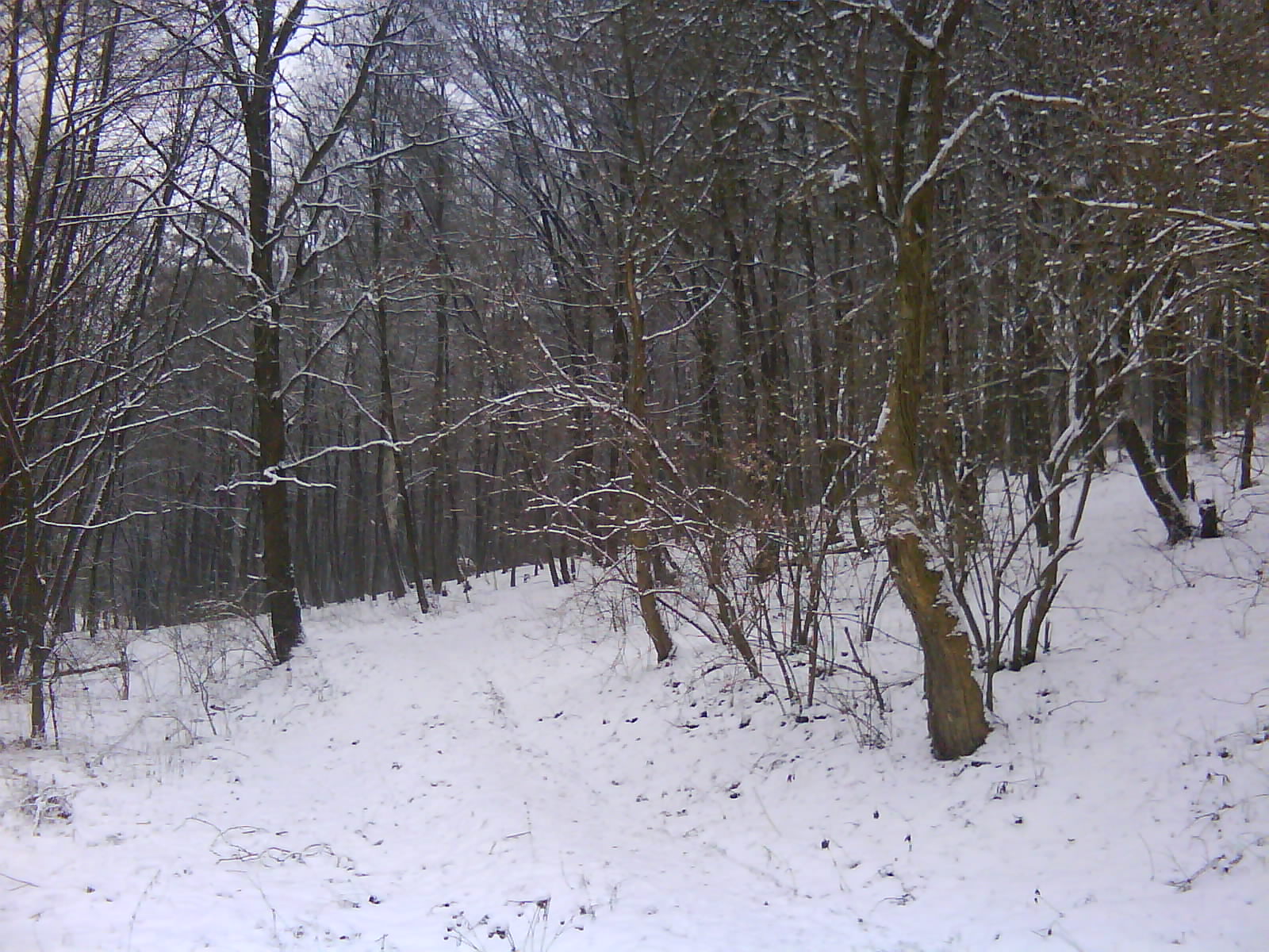 DSC00173.JPG