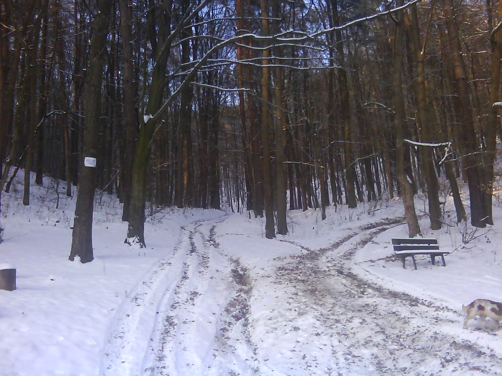 DSC00177.JPG