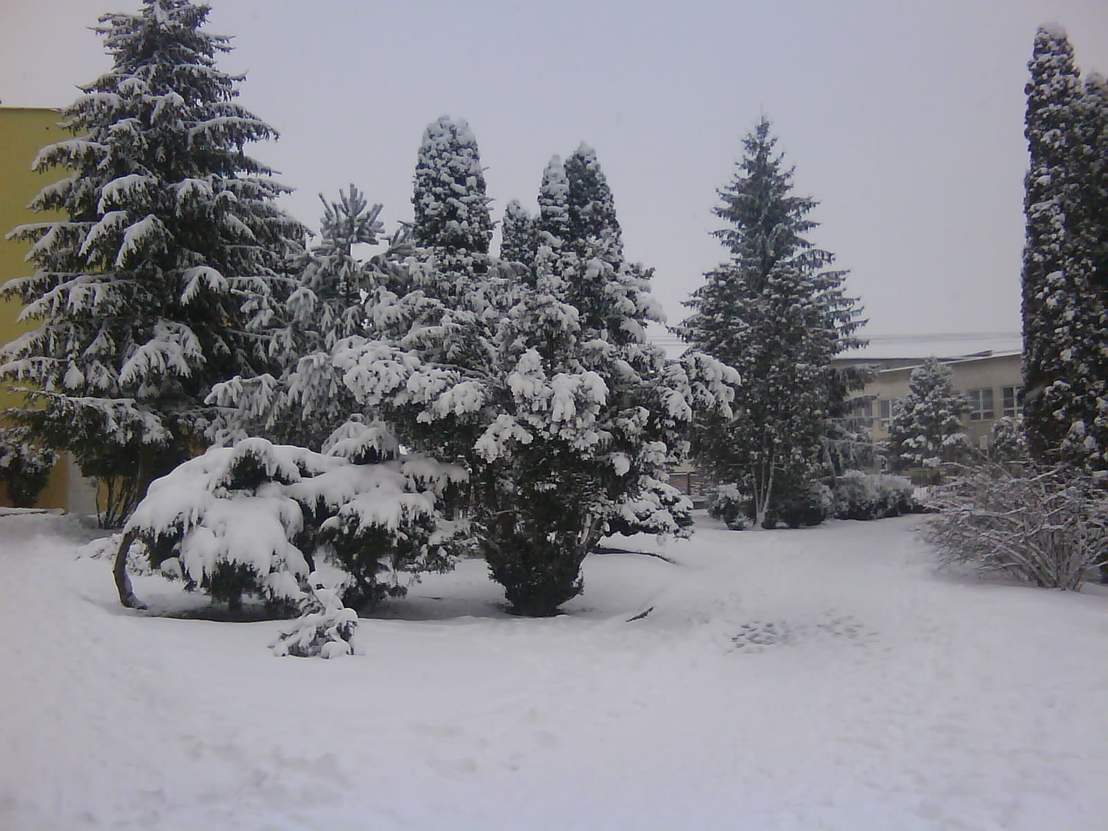 DSC00194.JPG