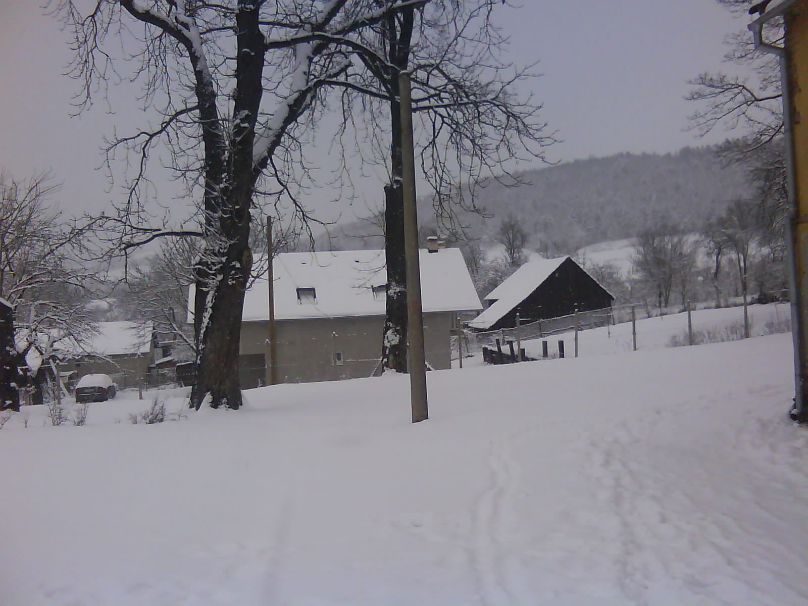 DSC00195.JPG