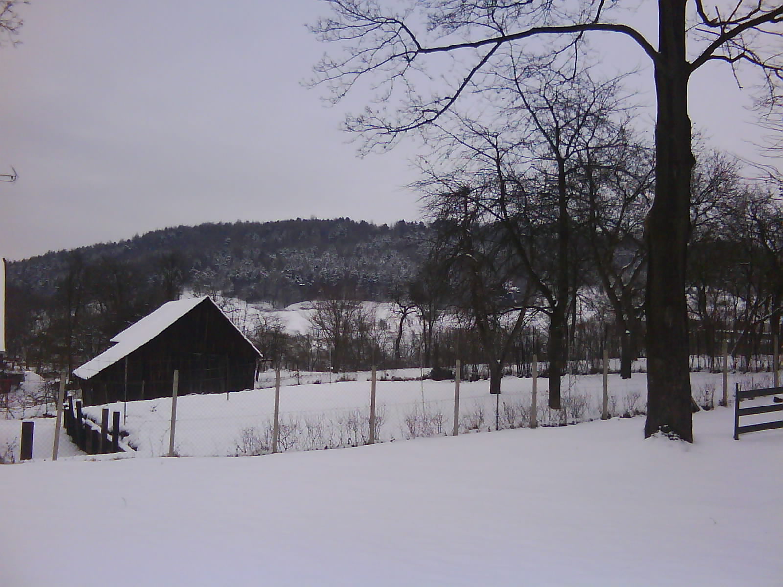 DSC00196.JPG