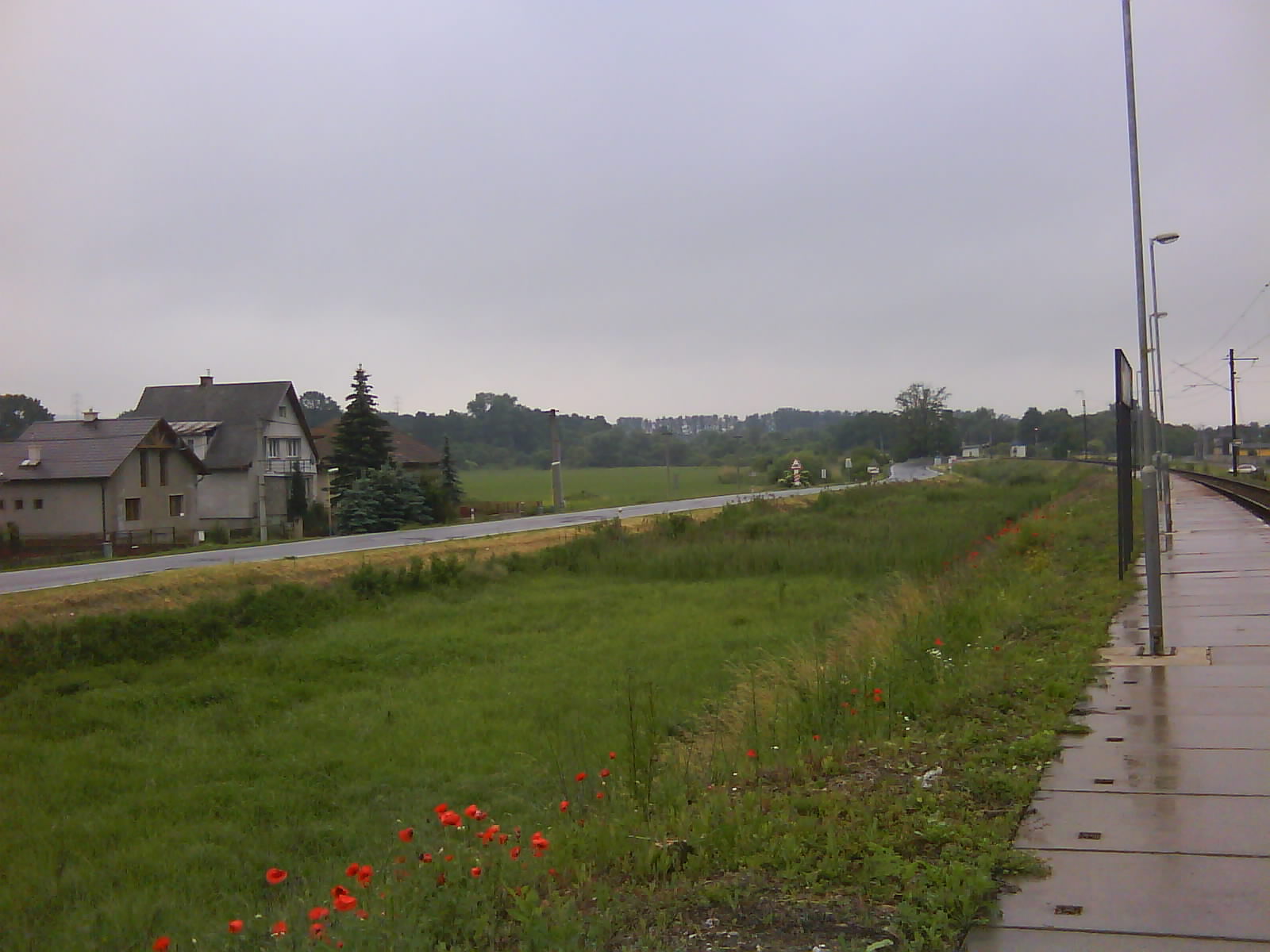 DSC00268.JPG