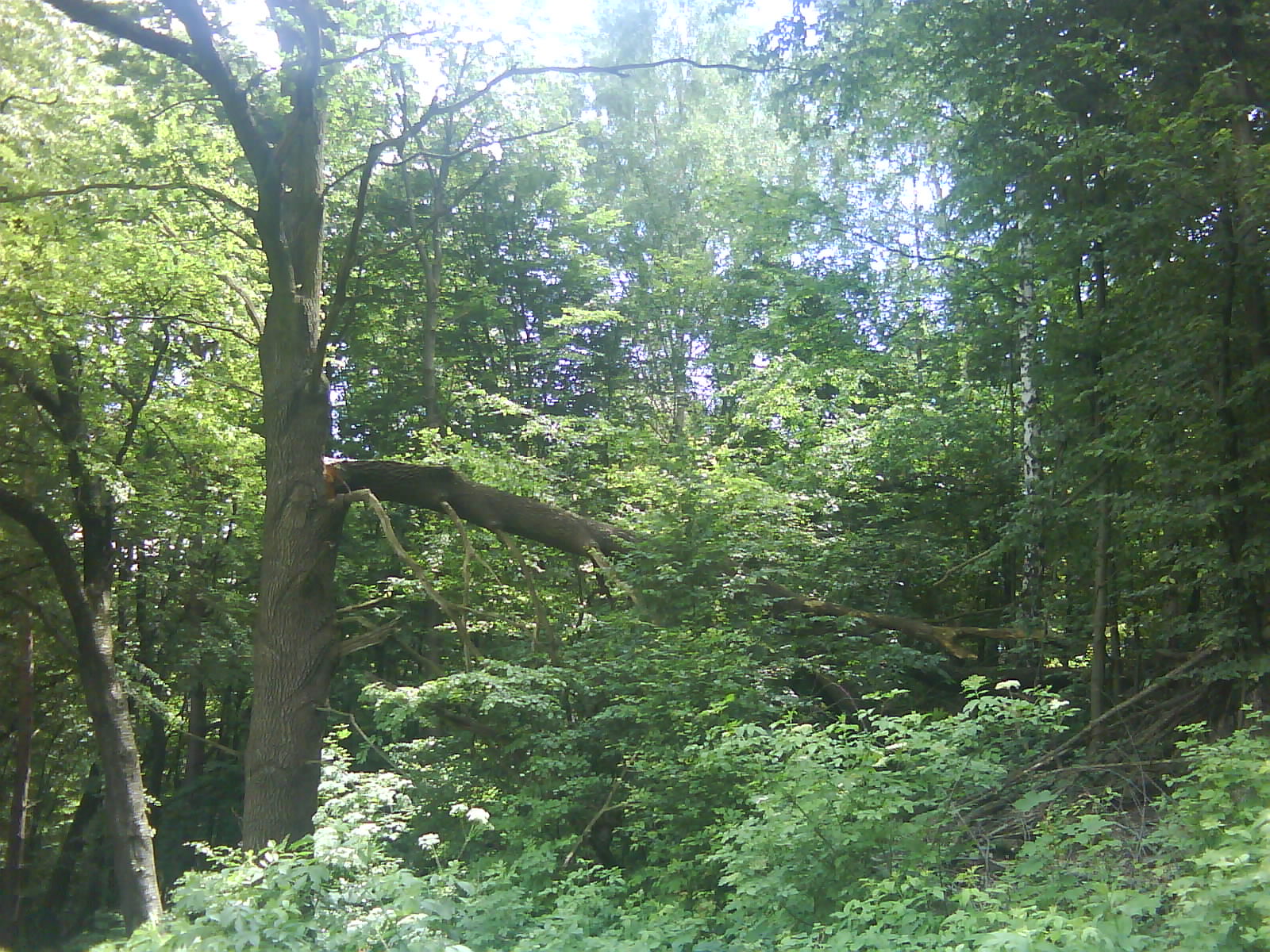 DSC00279.JPG