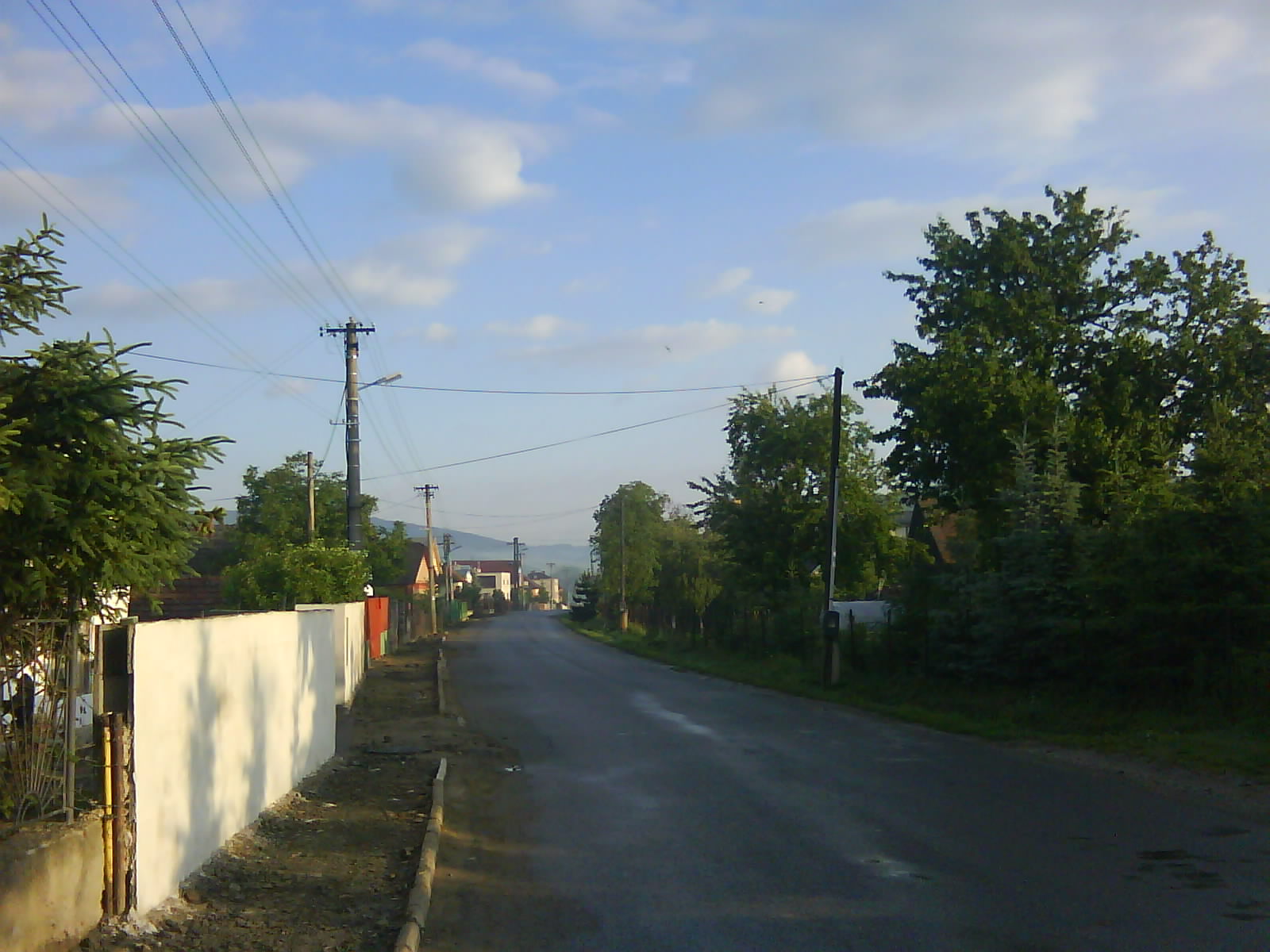 DSC00270.JPG