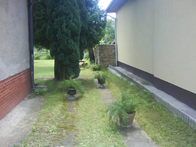 DSC00336.JPG