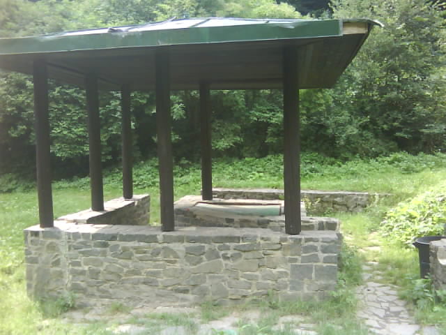 DSC00350.JPG