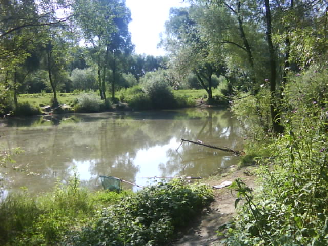 DSC00378.JPG