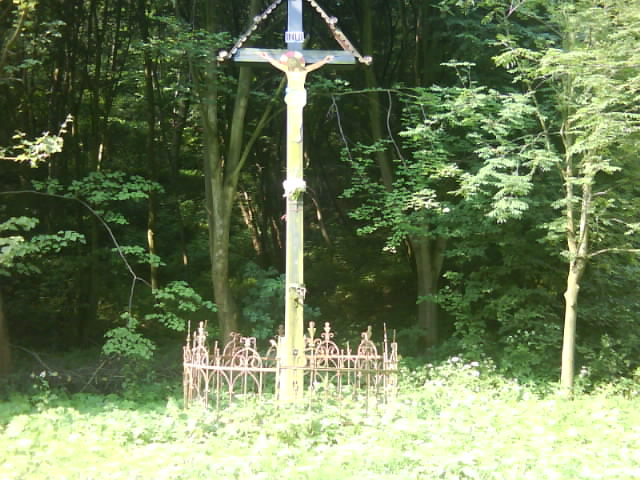 DSC00383.JPG