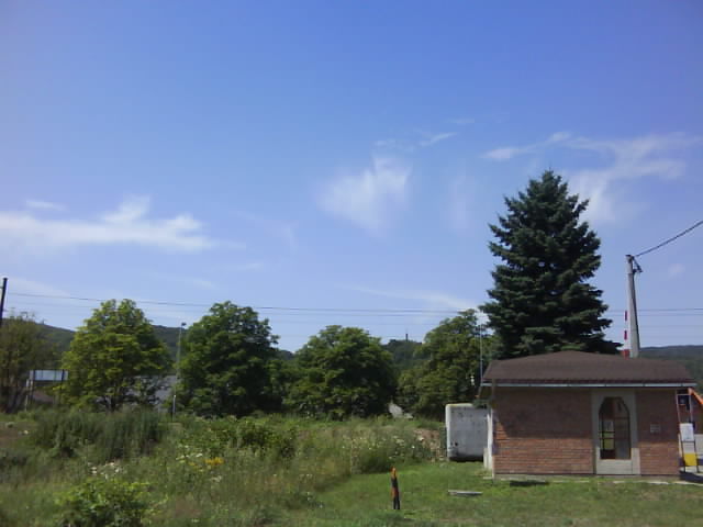 DSC00398.JPG