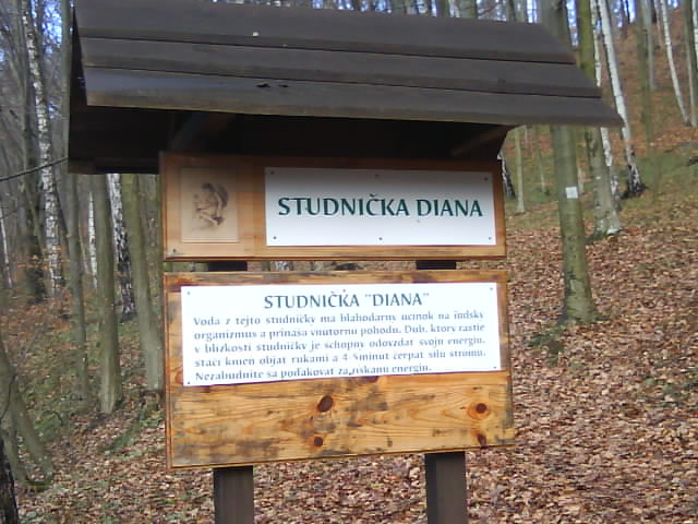 DSC00533.JPG