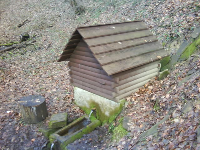 DSC00532.JPG