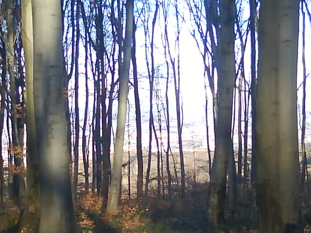 DSC00542.JPG