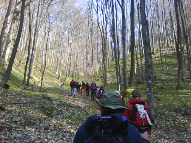 DSC00562.JPG