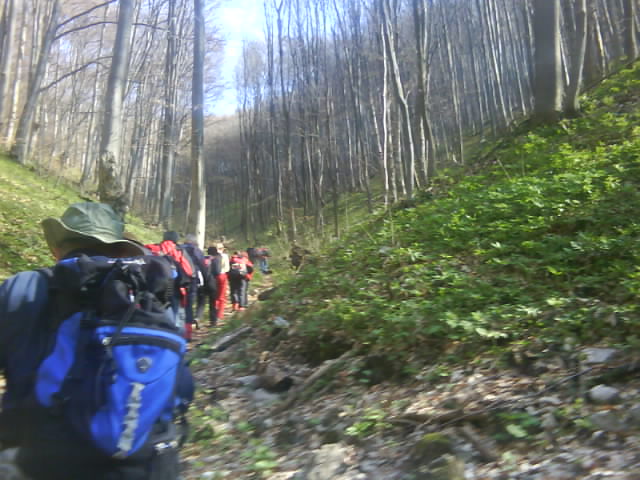DSC00563.JPG