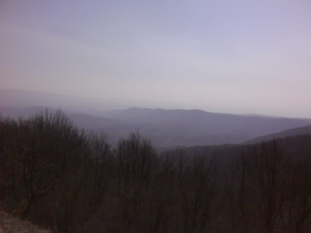DSC00566.JPG