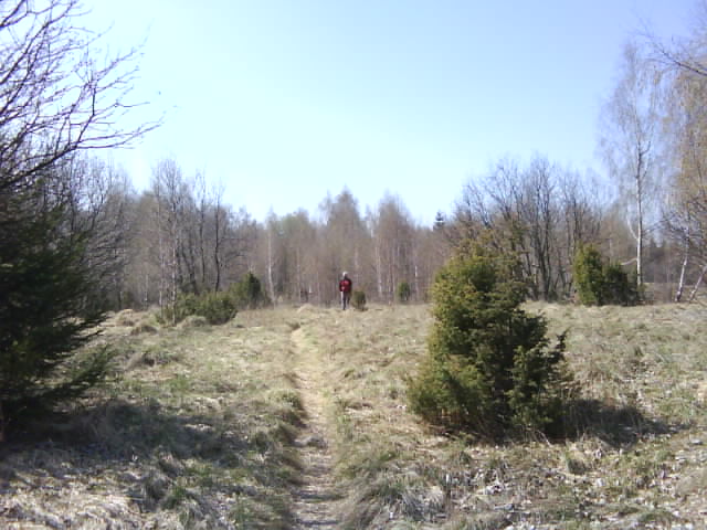 DSC00569.JPG