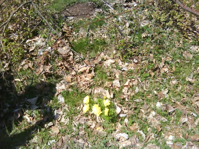 DSC00572.JPG