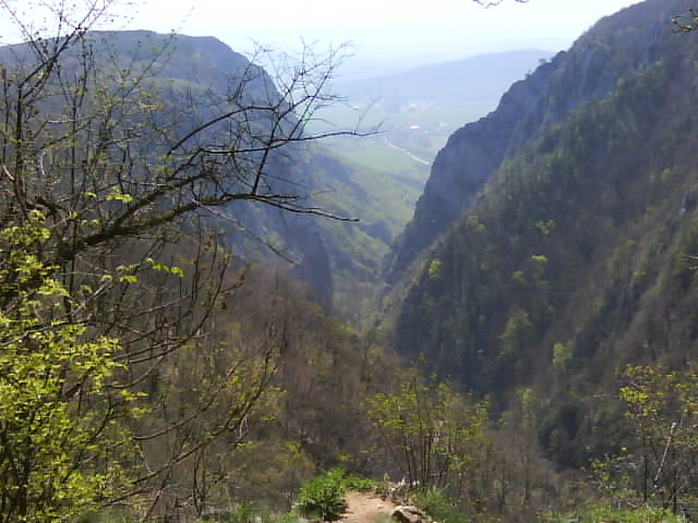 DSC00573.JPG