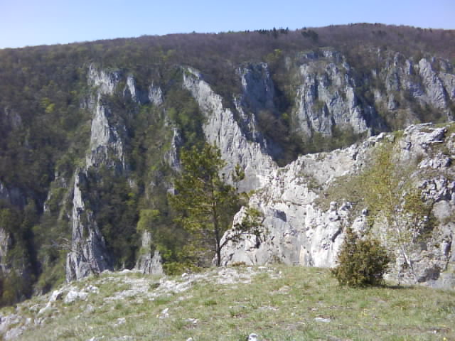 DSC00575.JPG