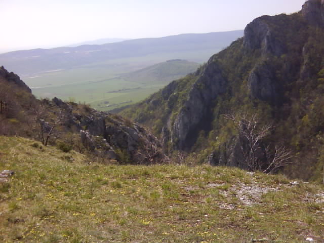DSC00576.JPG