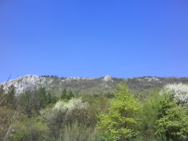 DSC00579.JPG