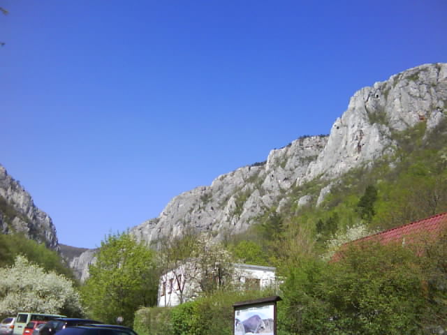 DSC00580.JPG
