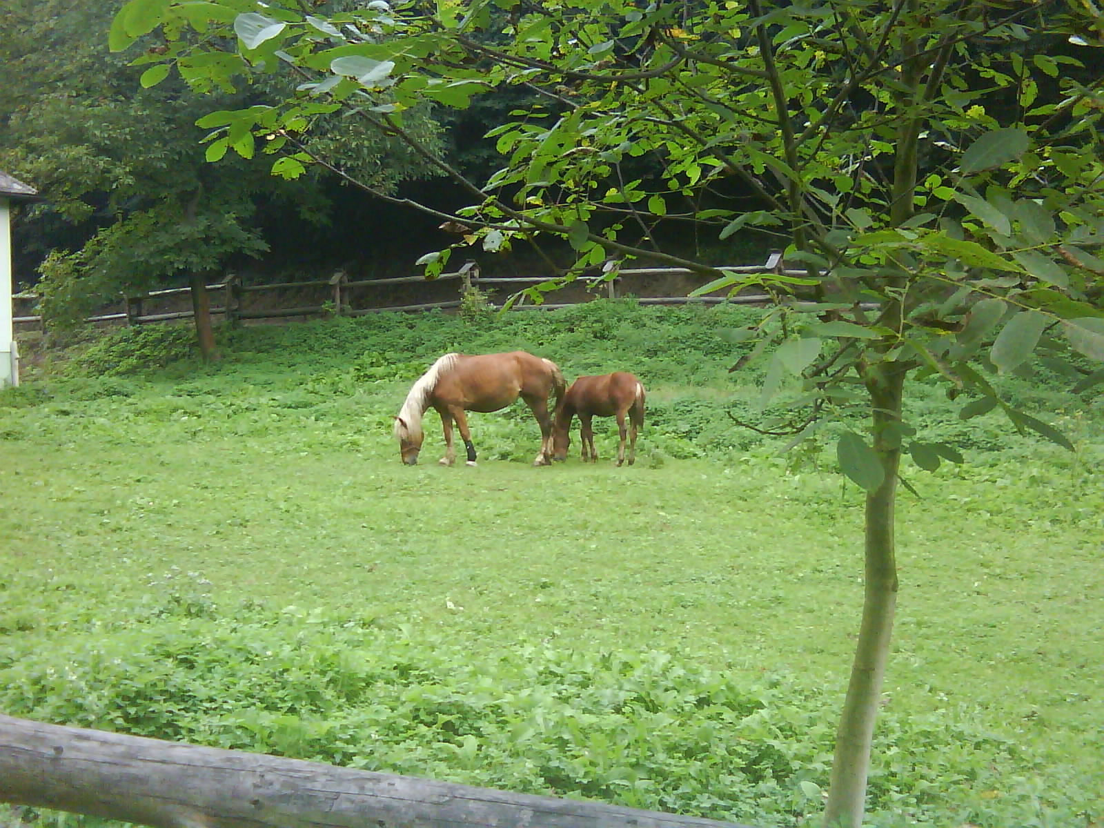 DSC00006.JPG