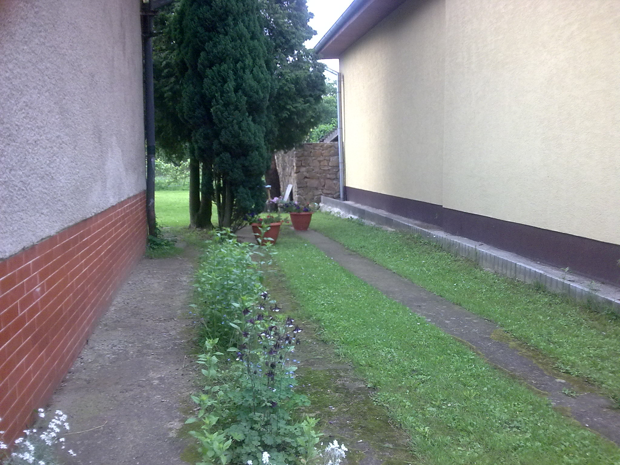 Snímka0049.jpg