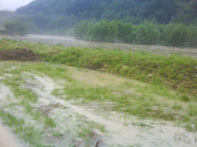 DSC00598.JPG