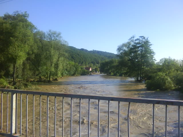 DSC00608.JPG
