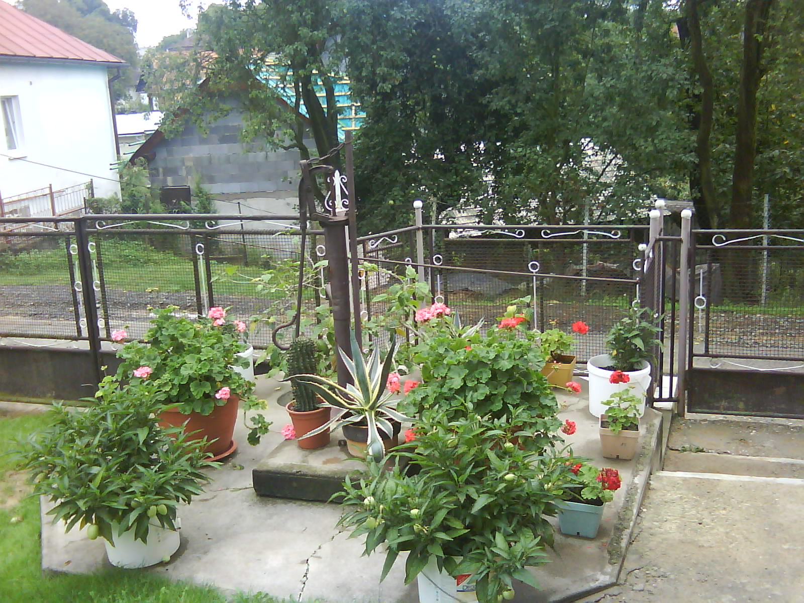 DSC00012.JPG