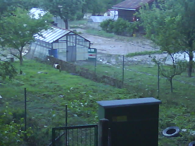 DSC00612.JPG