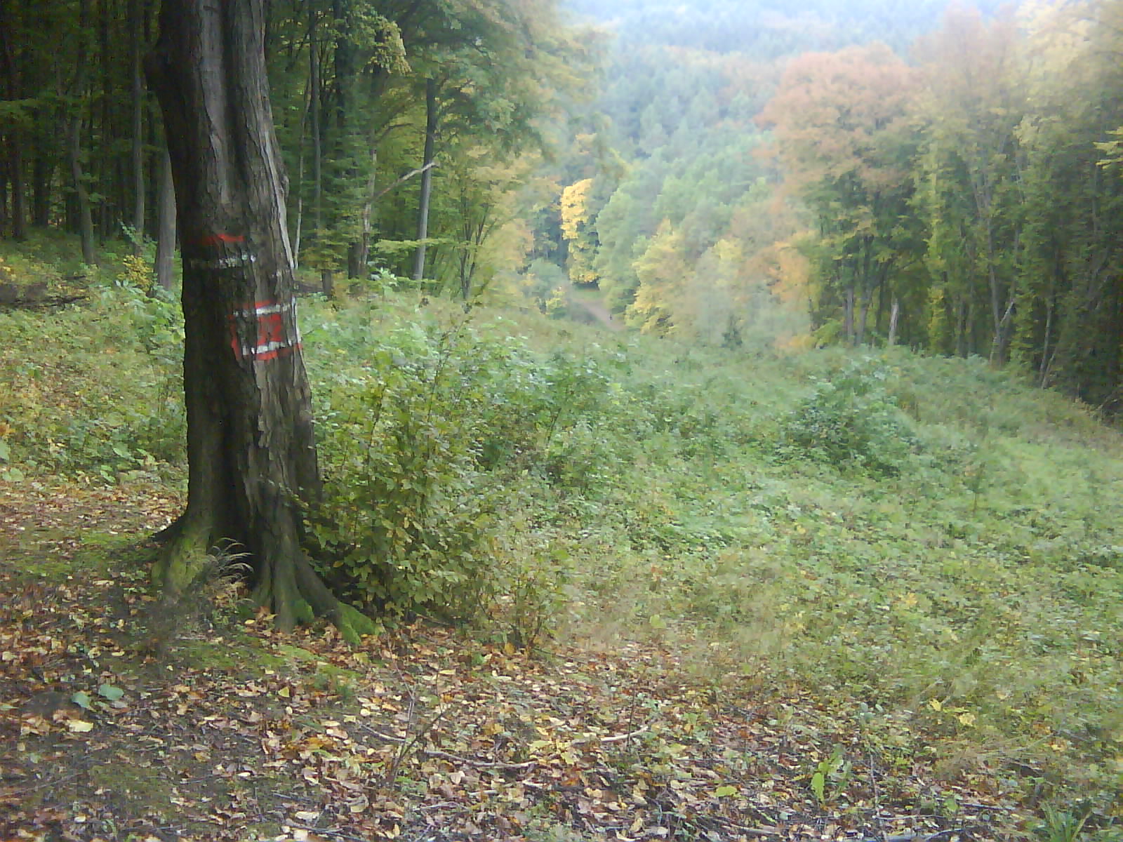 DSC00048.JPG