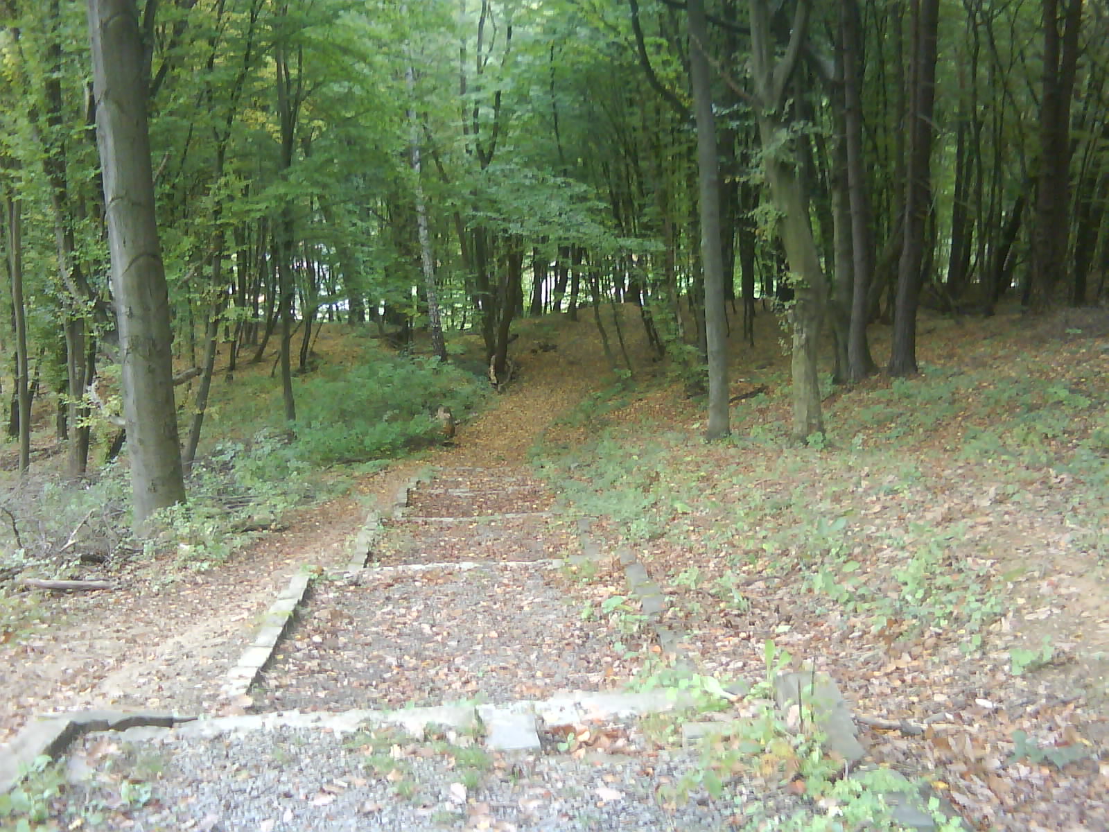 DSC00049.JPG