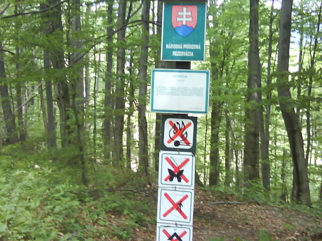 DSC00652.JPG