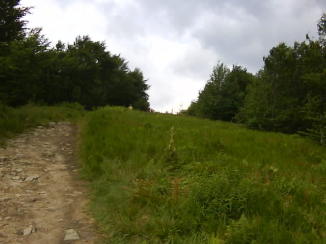 DSC00659.JPG