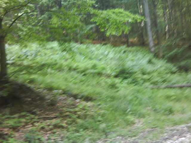 DSC00661.JPG