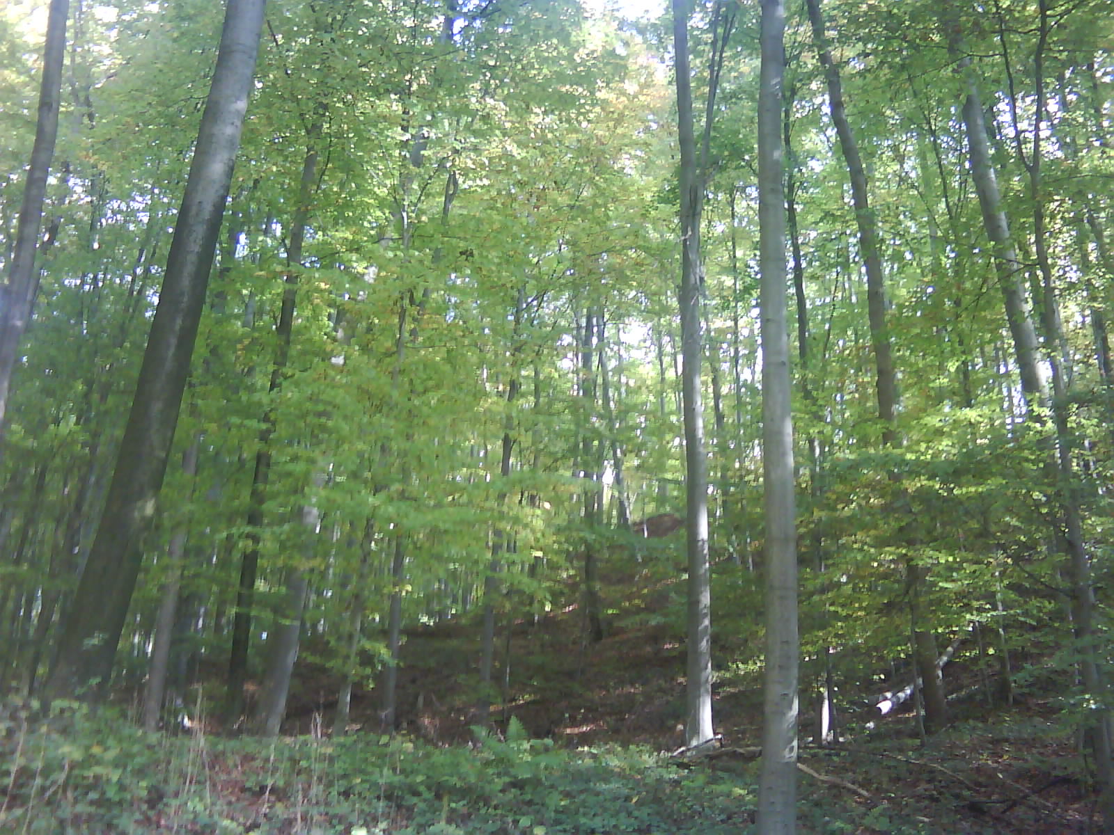 DSC00053.JPG