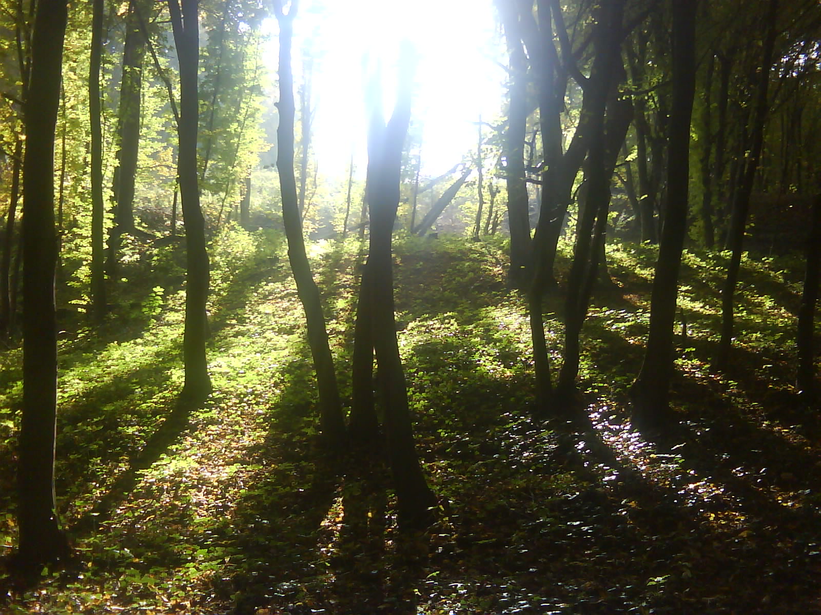 DSC00057.JPG