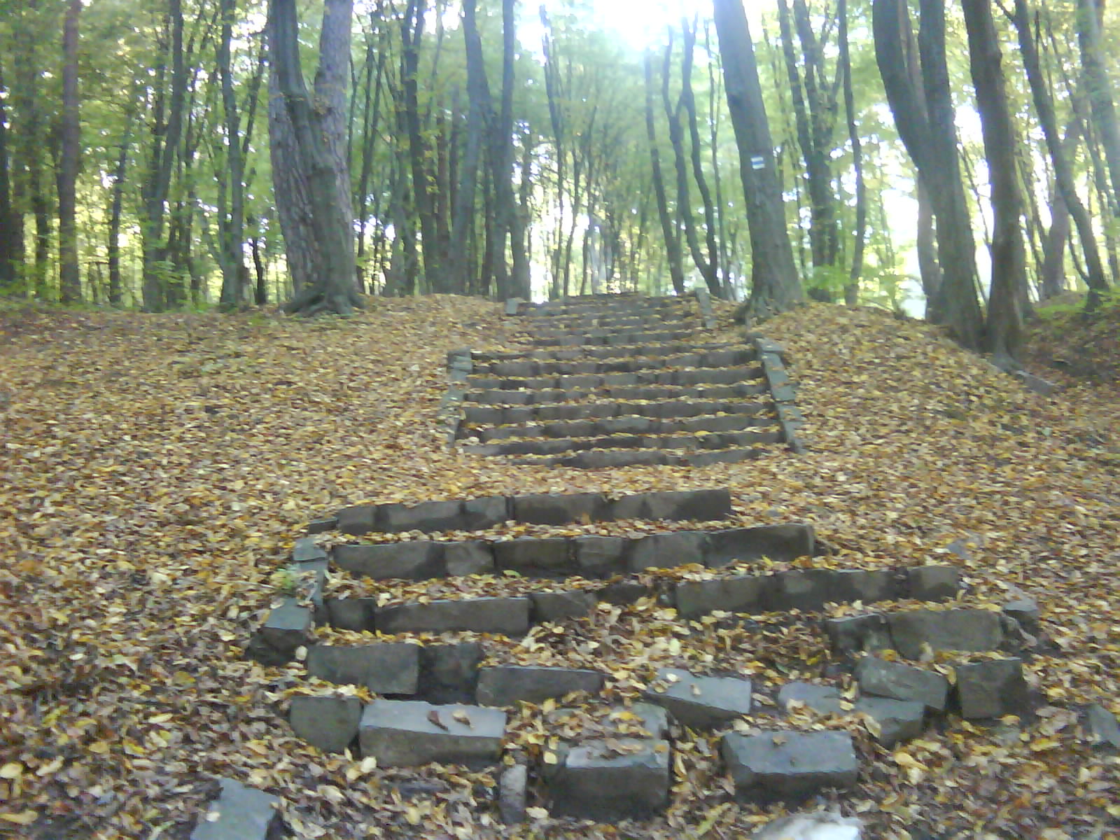 DSC00058.JPG