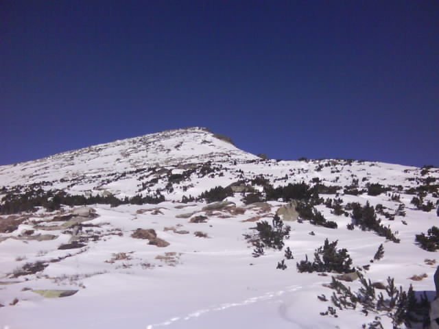 DSC00730.JPG