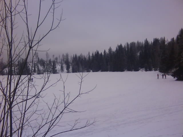 DSC00737.JPG