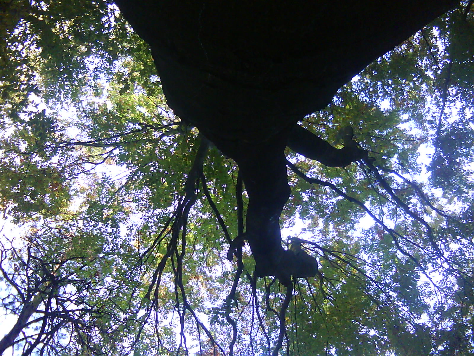 DSC00059.JPG