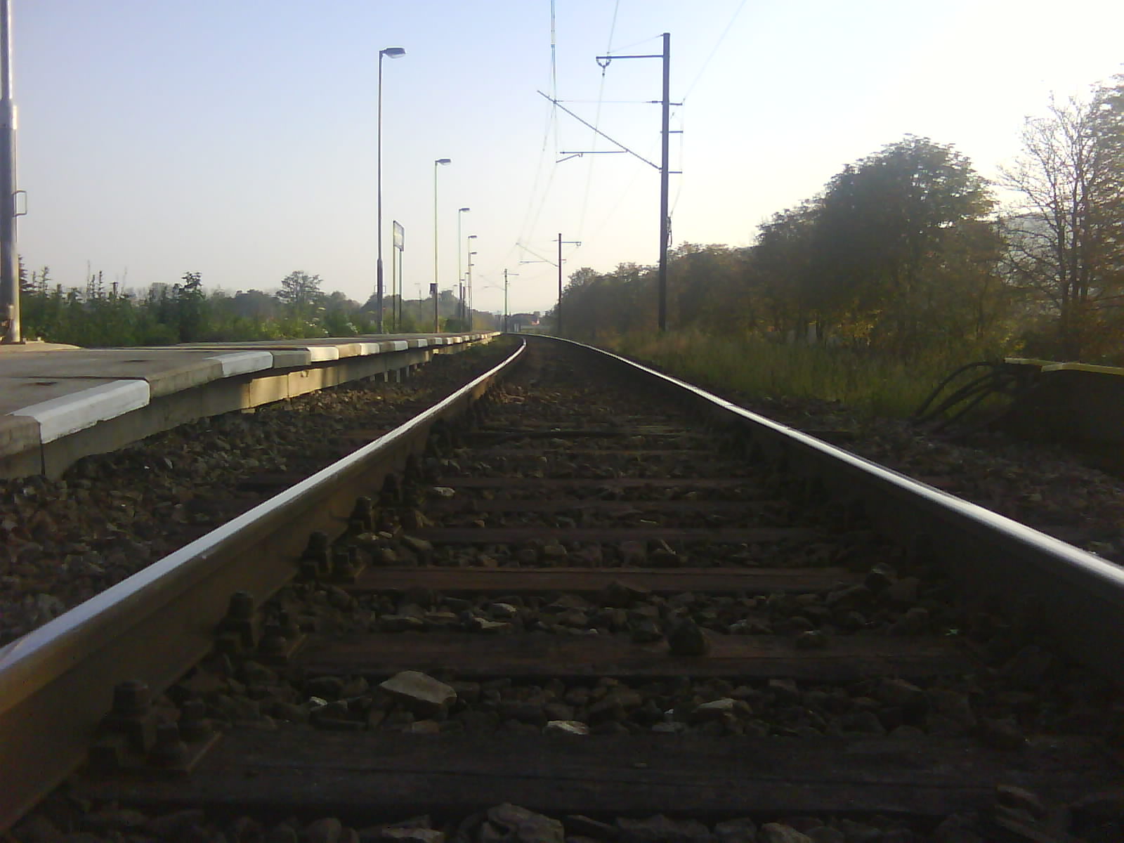 DSC00060.JPG