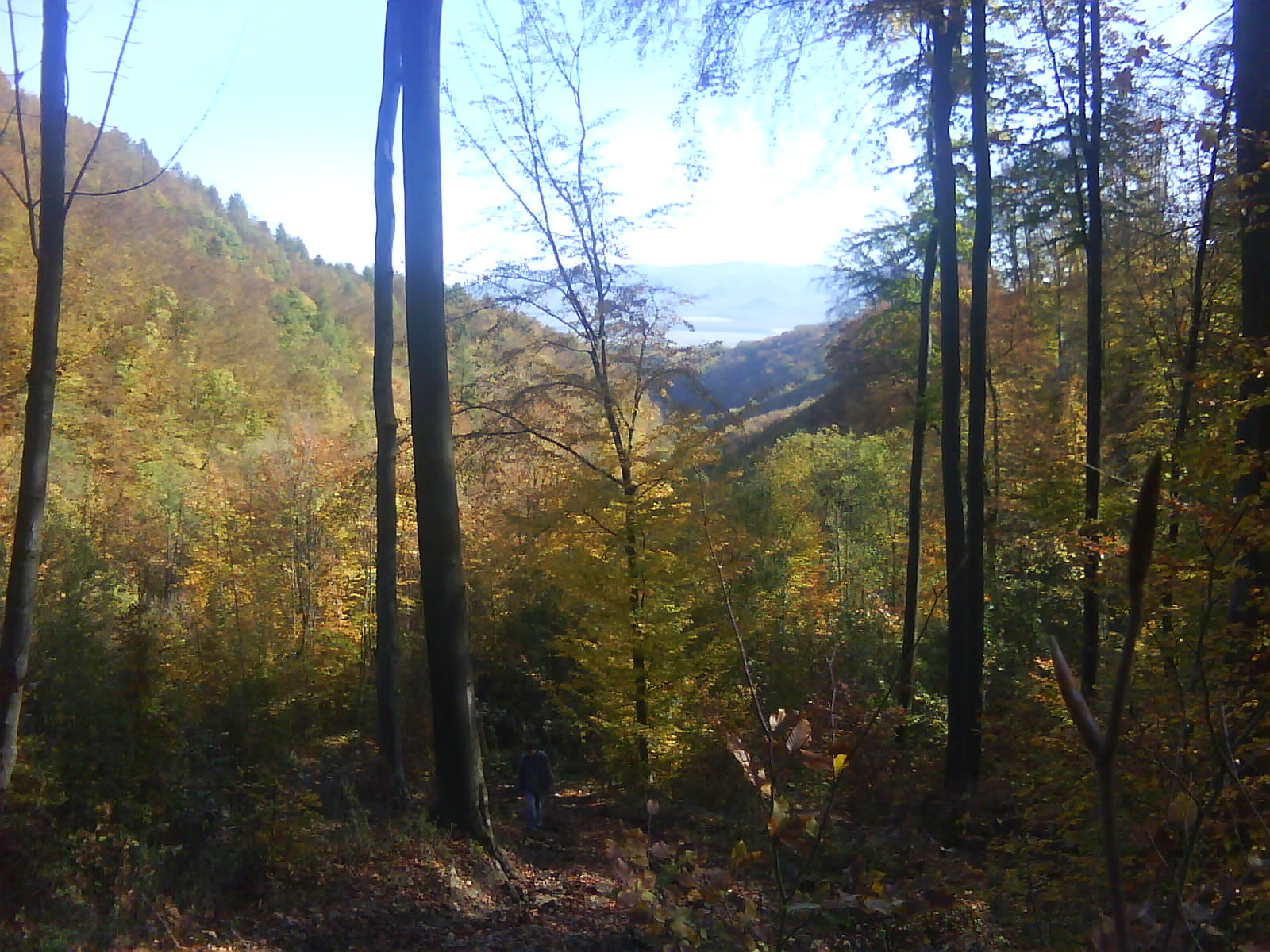 DSC00075.JPG