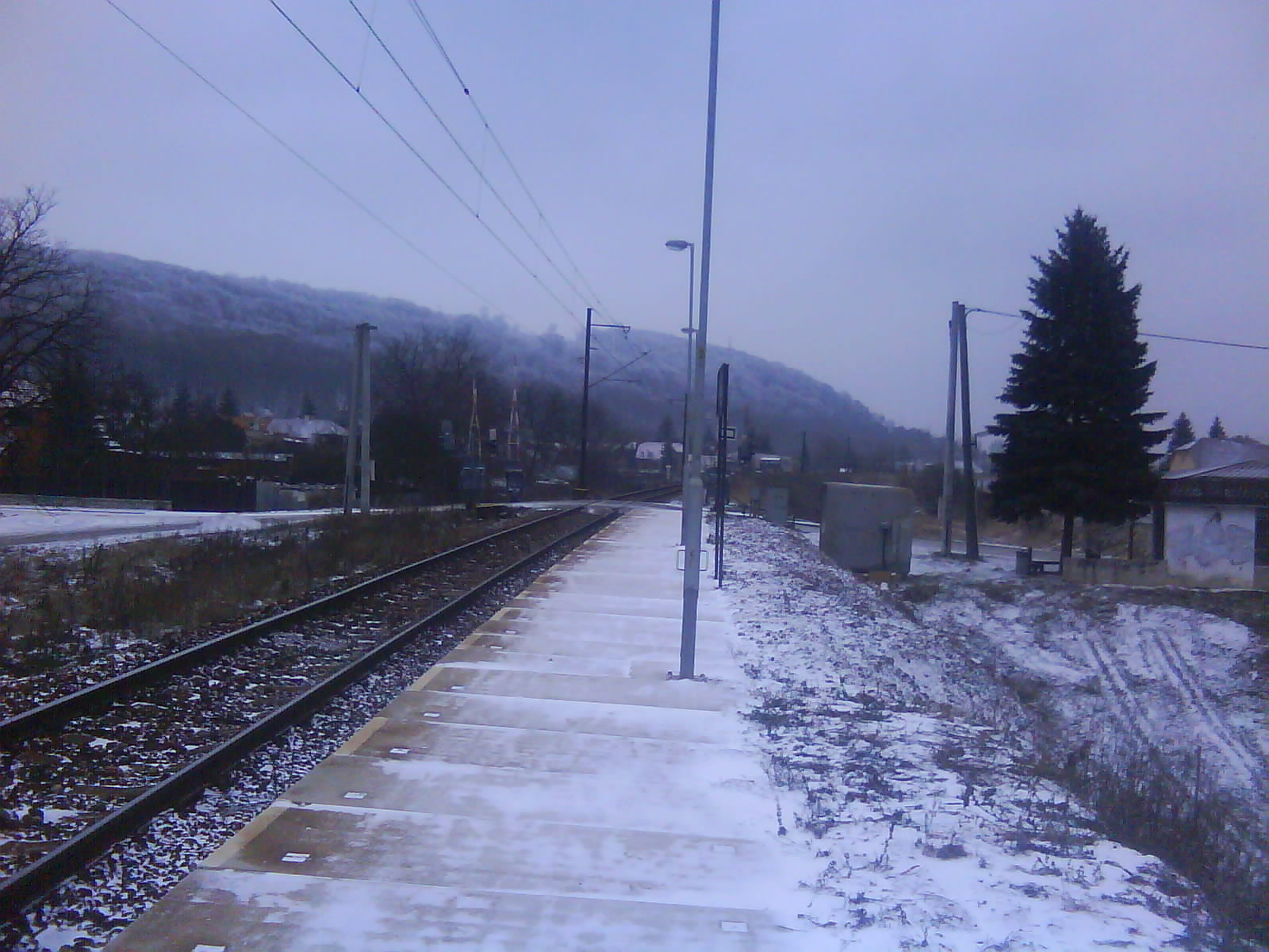 DSC00169.JPG