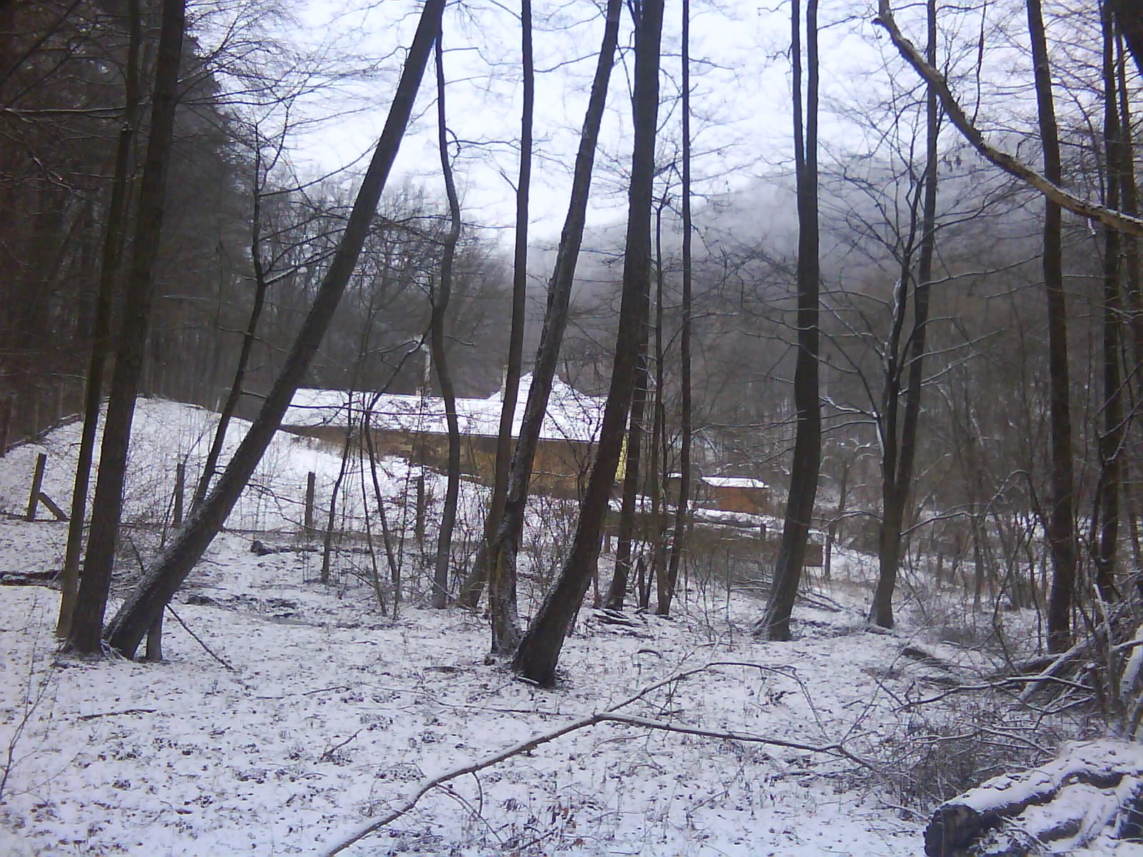 DSC00168.JPG