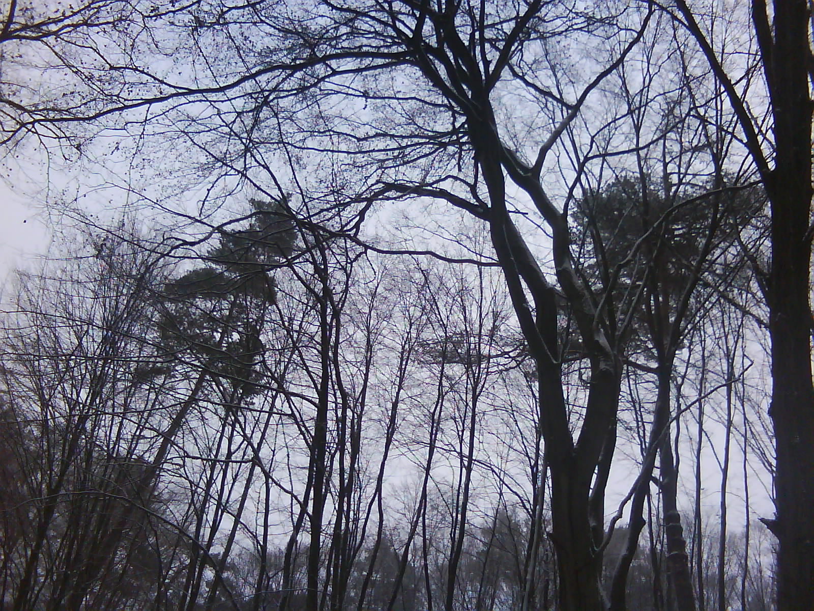 DSC00167.JPG