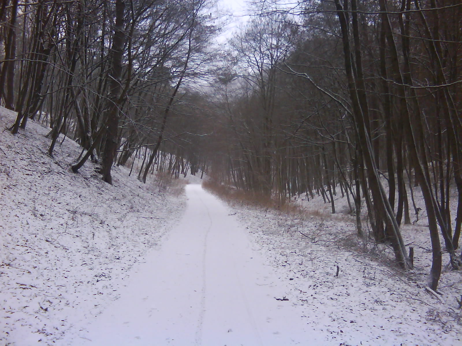 DSC00166.JPG